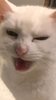 smiley.JPG smiley.JPG