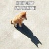 Batman_Funny_Meme.jpg