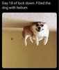 Helium.jpg Helium.jpg