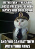 funny-cats-airline-pilot-meme.jpg