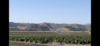 D3520244-40EE-443F-8B49-0C99C50FBC1D.png