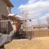 67349F5B-CFB4-4656-8465-F67A2EBDF972.gif