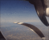 85638EC5-DB34-46E8-A95B-30B32C593DC2.gif