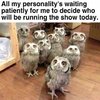 FB_IMG_1646245275245.jpg