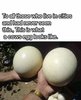 FB_IMG_1646245266519.jpg