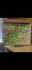 DD7EF884-4980-4E3D-9608-4BED6BA5965C.png