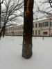 IMG_20220305_141938---.jpg