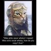 meow.jpg