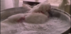 upload_2022-4-21_21-5-0.png