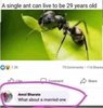 FB_IMG_1650816394038.jpg