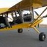 yellowbelly