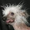 JohnR