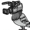 BirdsAreNotReal