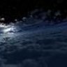 carpe noctem