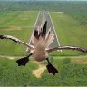 iflyifr