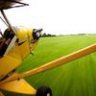 Stearman