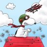 VF84Sluggo