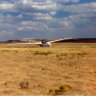 Pingree652