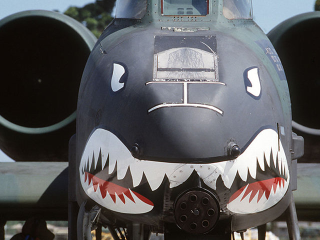 aircraft-USAF-Fairchild-Republic-A10-Thunderbolt-Warthog-Ground-Attack-Aircraft-hog.jpg