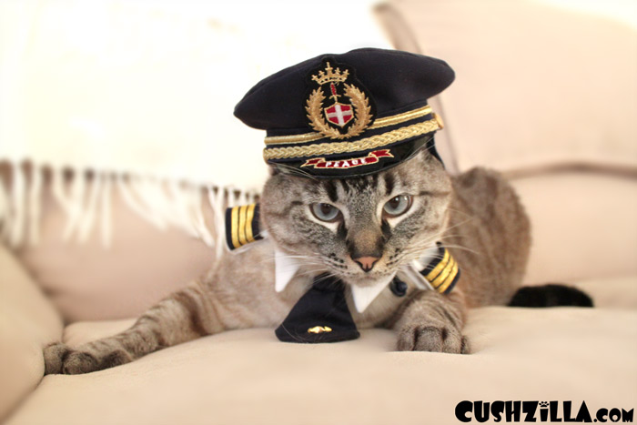 cushzilla-captain-kitty-pilot-hat-133-04.jpg
