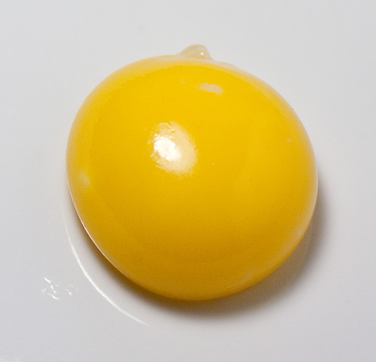 Egg-Yolk.jpg