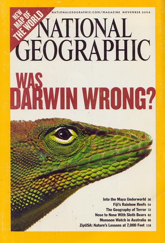 37796548982_ef19a93b85.jpg