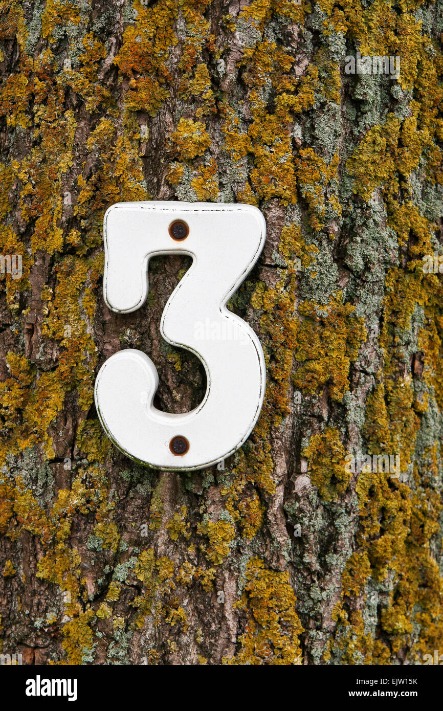 house-number-3-in-white-on-a-tree-trunk-EJW15K.jpg