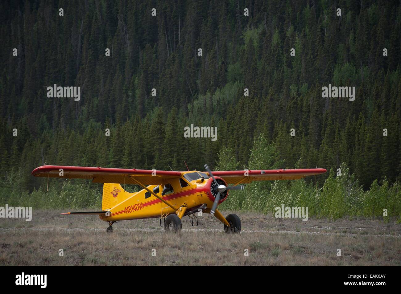 a-dehavilland-beaver-bush-plane-lands-on-a-backcountry-airstrip-in-EAK6AY.jpg