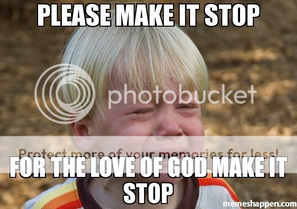 please-make-IT-stop-FOR-THE-LOVE-OF-god-MAKE-IT-stop-meme-27228_zpsa3b6n7dk.jpg