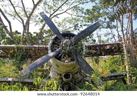 stock-photo-front-centre-view-of-crashed-russian-antonov-an-plane-in-the-peruvian-amazon-nicknamed-annushka-92648014.jpg
