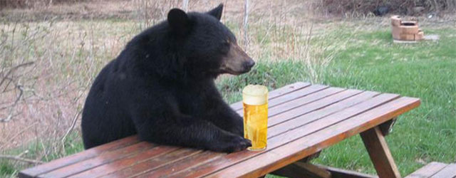 65-beer-bear.jpg