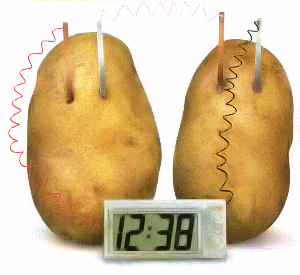 potato_clock.gif