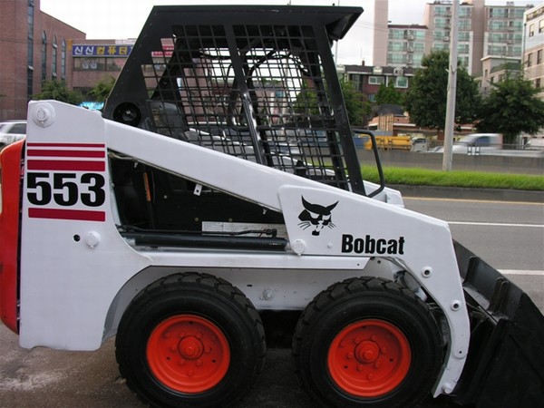 bobcat-553,5337836e.jpg