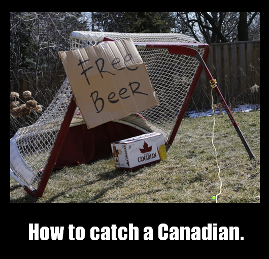 how-to-catch-a-canadian.png