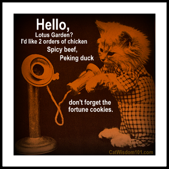 LOL-vintage-cat-kitten-chinese-food-telephone-quote.jpg