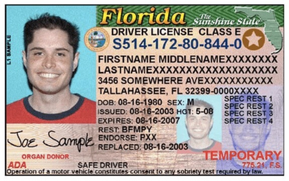 florida-drivers-license-sample.jpg