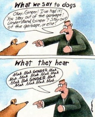 gary-larson-far-side-cartoon-what-we-say-to-dogs-blah-blah-ginger.jpeg