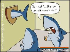 0adf91d9ce43af9b8abe84db65a45fc7--shark-jokes-jokes-with-pictures.jpg