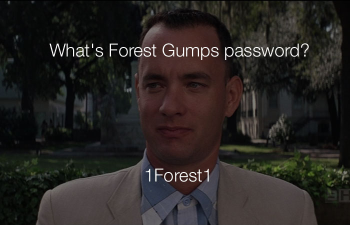funny-stupid-jokes-whats-forest-gumps-password.jpg