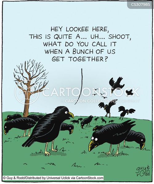 animals-murder_of_crows-crows-flock-murder-gathering-gra060418_low.jpg