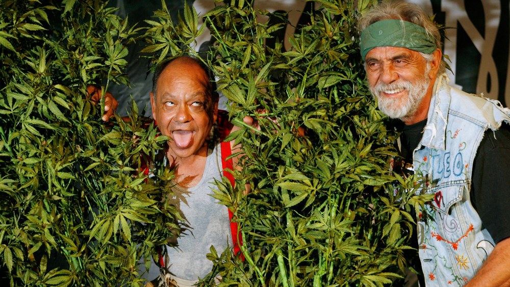 cheech-chong-is-getting-a-new-movie